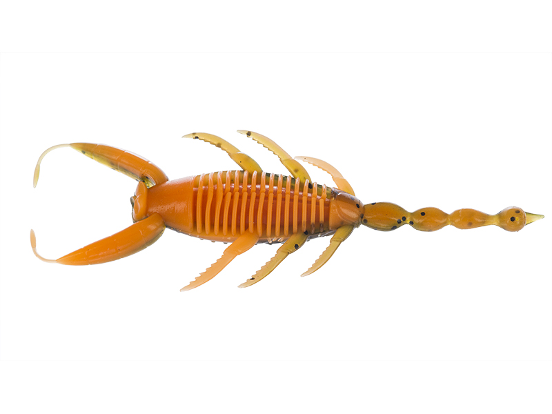 MOLIX SC BUG 4 ORANGE PUMPKIN BELLY.jpg Molix SC Bug 4 Inch lure